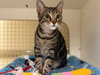 Maggie - Photo 4