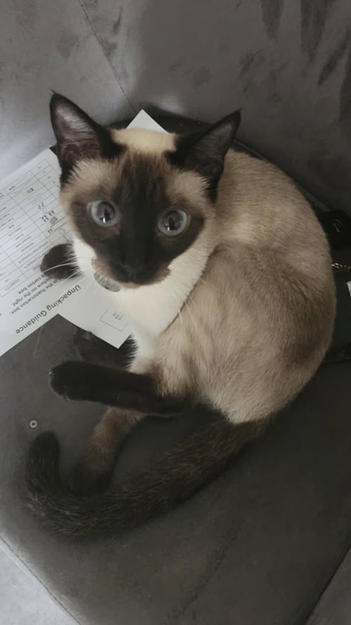 LUNA
