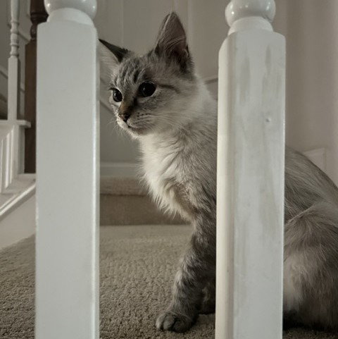 Photo 5 of Mia B