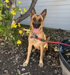 Fiona - Photo 3