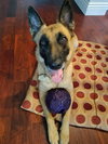 Fiona - Photo 4