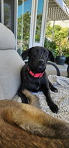 Thelma - Photo 2