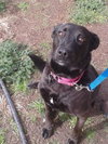 Thelma - Photo 3