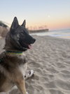 Cooper - Photo 2