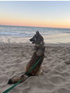 Cooper - Photo 4