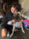 Enzo - Photo 3