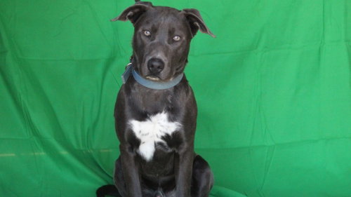 Tucker, additional photo