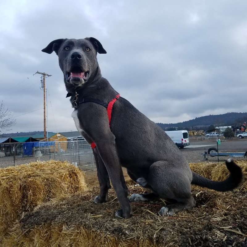 Tucker