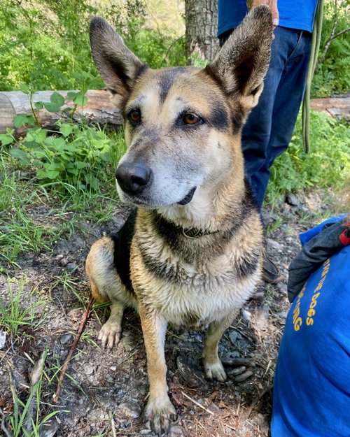 Hasiko, photo 4
