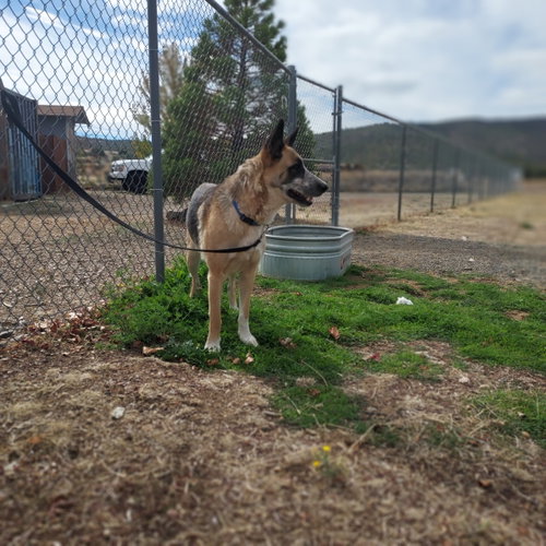 Reba, photo 5