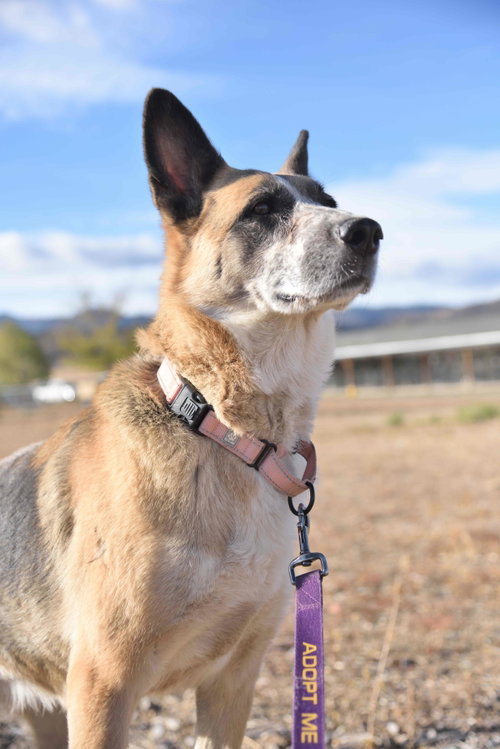 Reba, photo 3