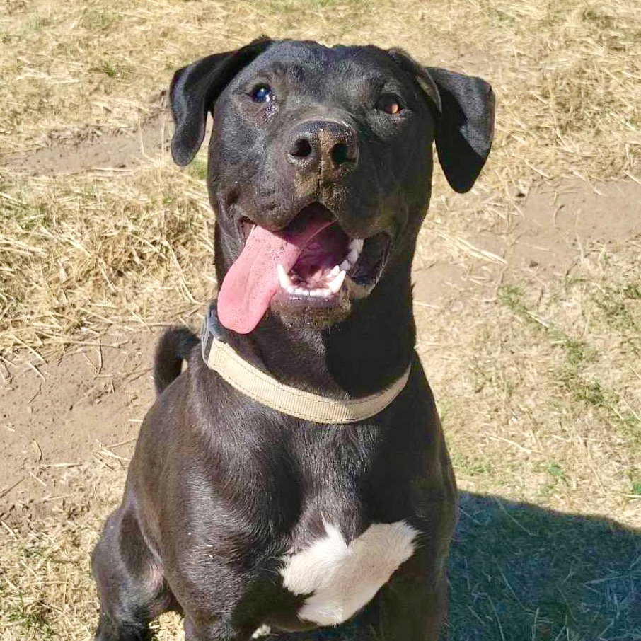 Oscar