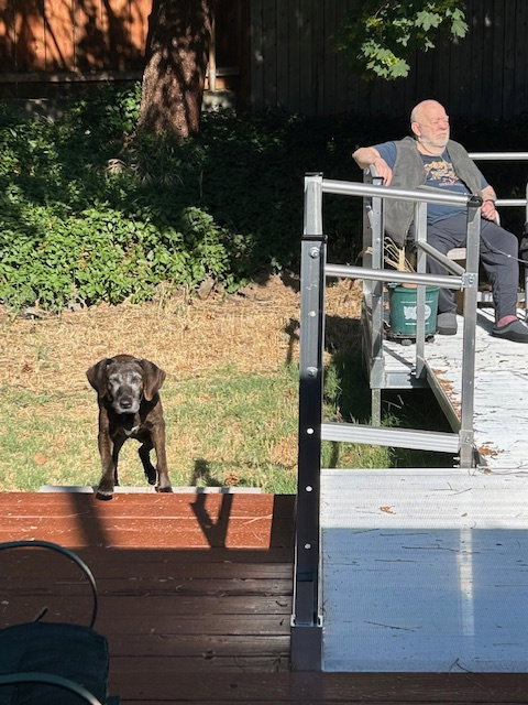 Sadie, photo 11