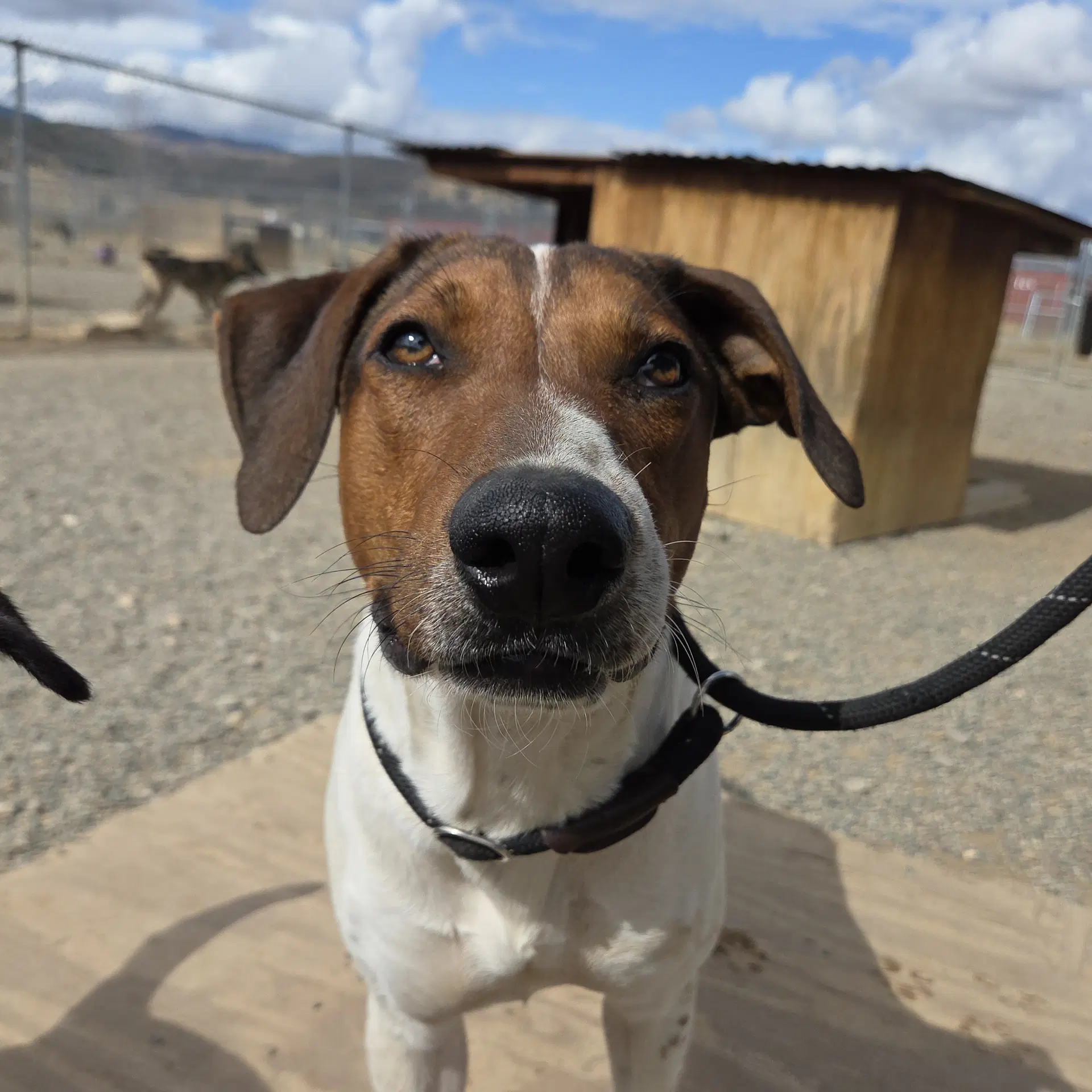 Sprocket image 4