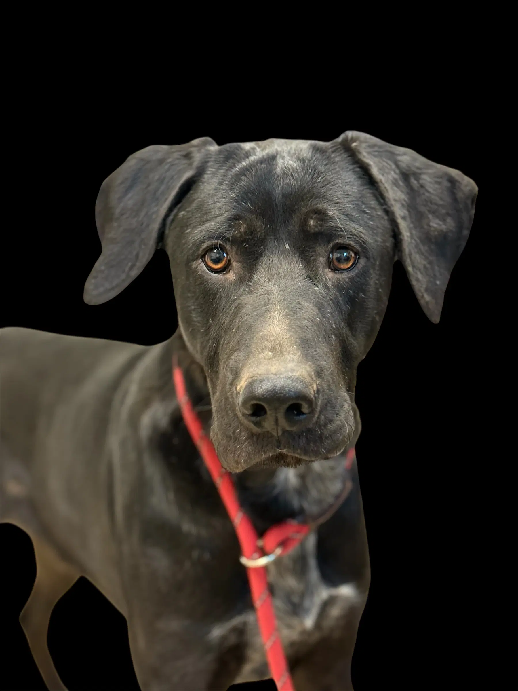 Max image 3