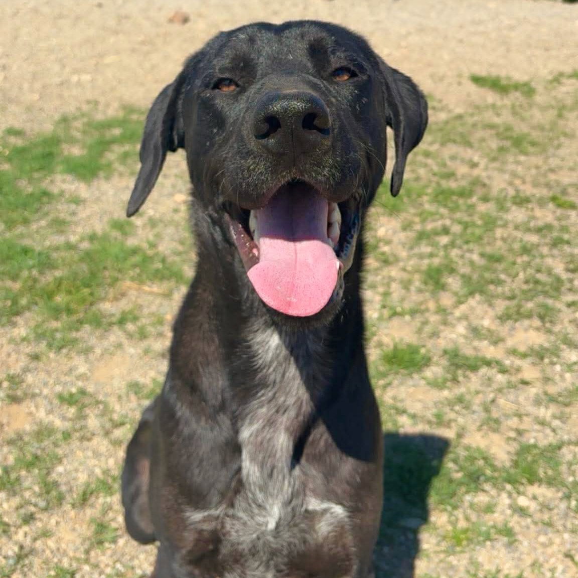 Max