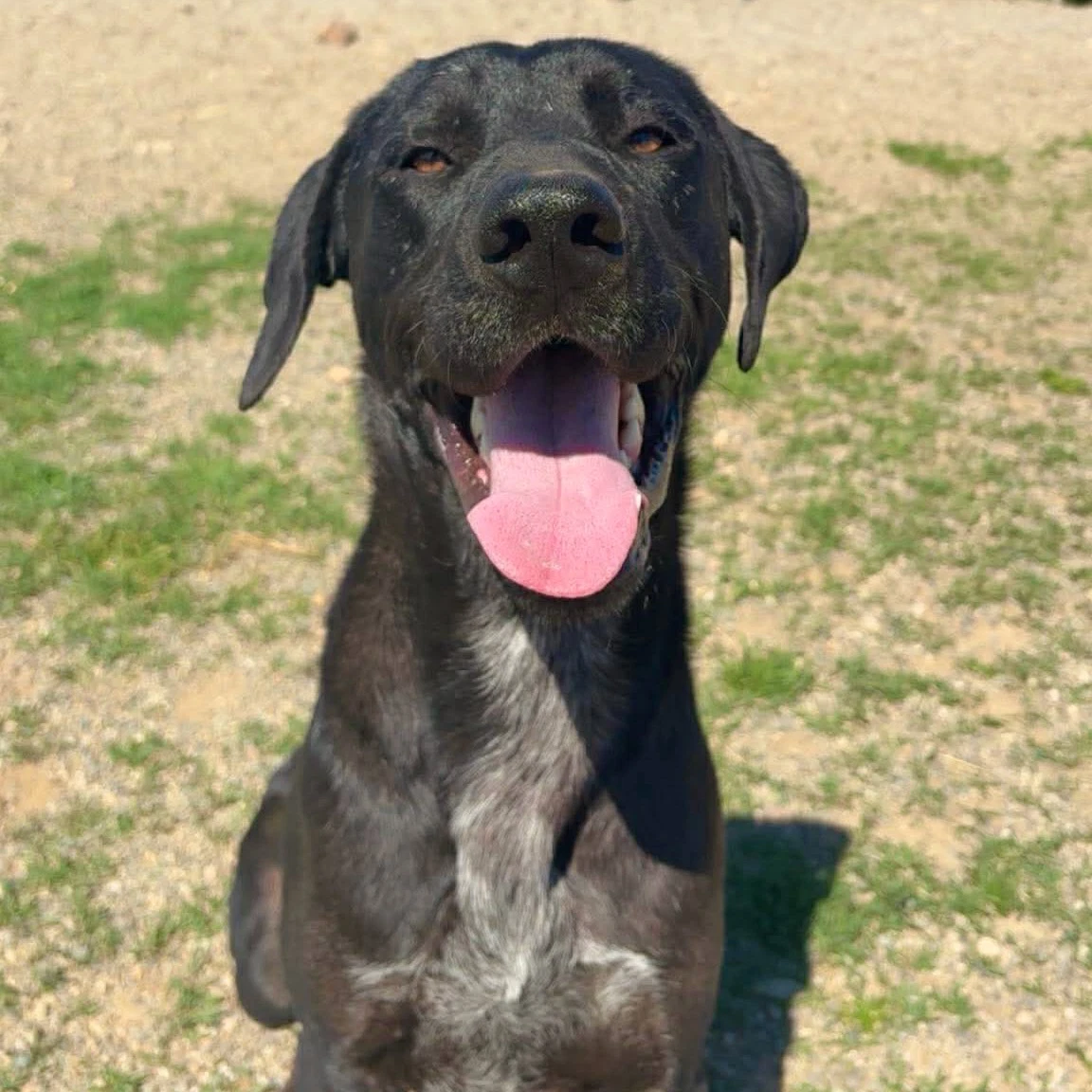 Max