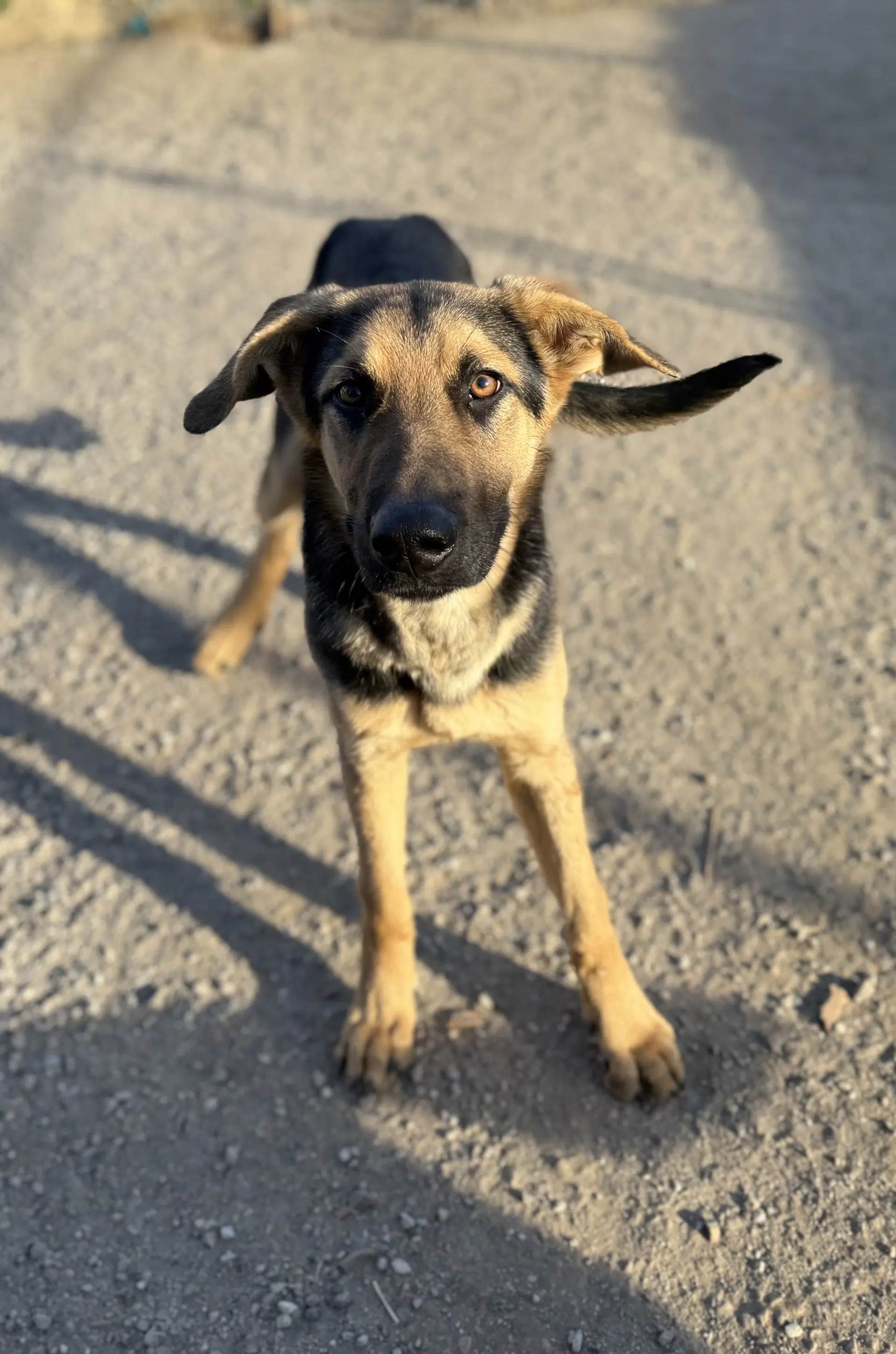 Micah image 3
