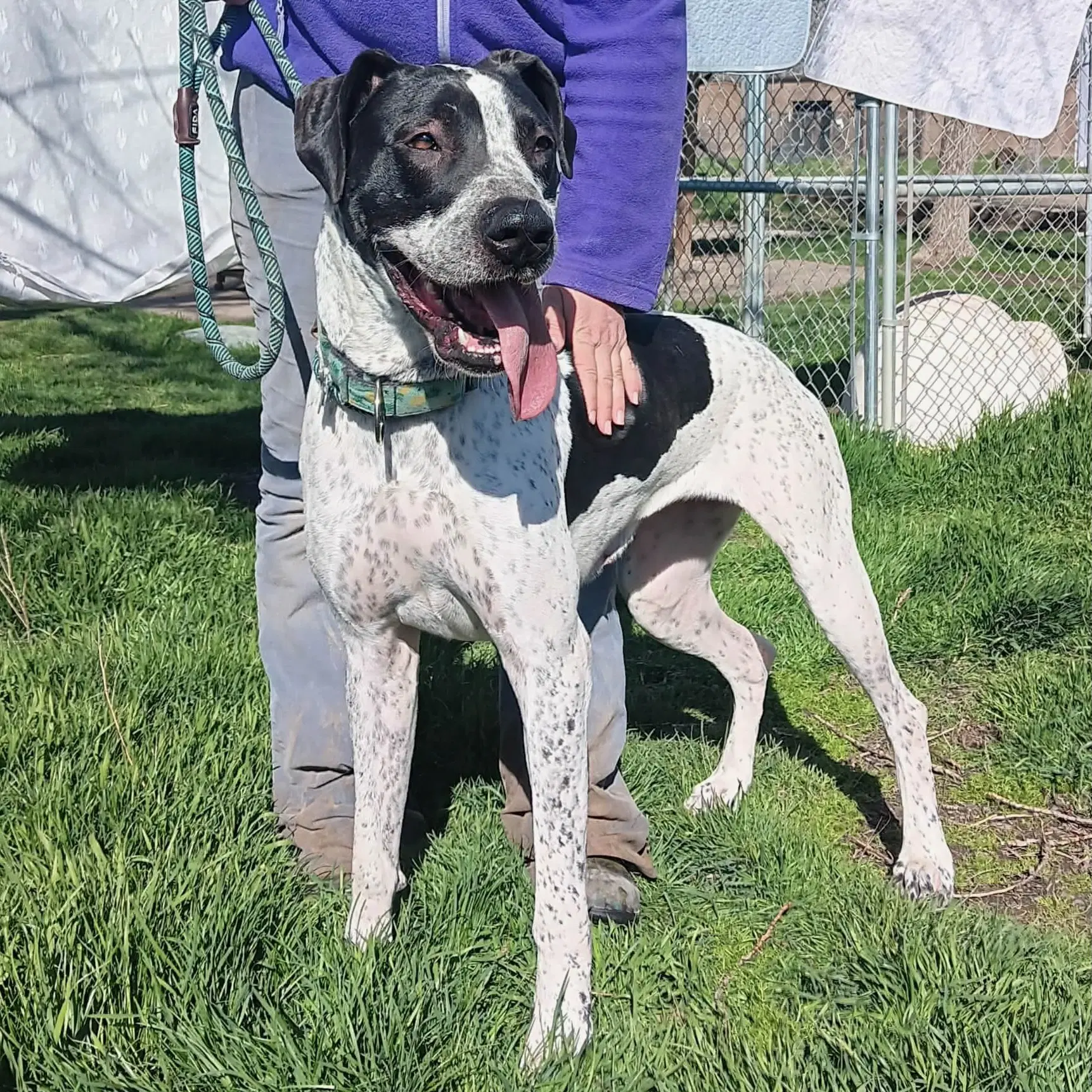 Molly image 3