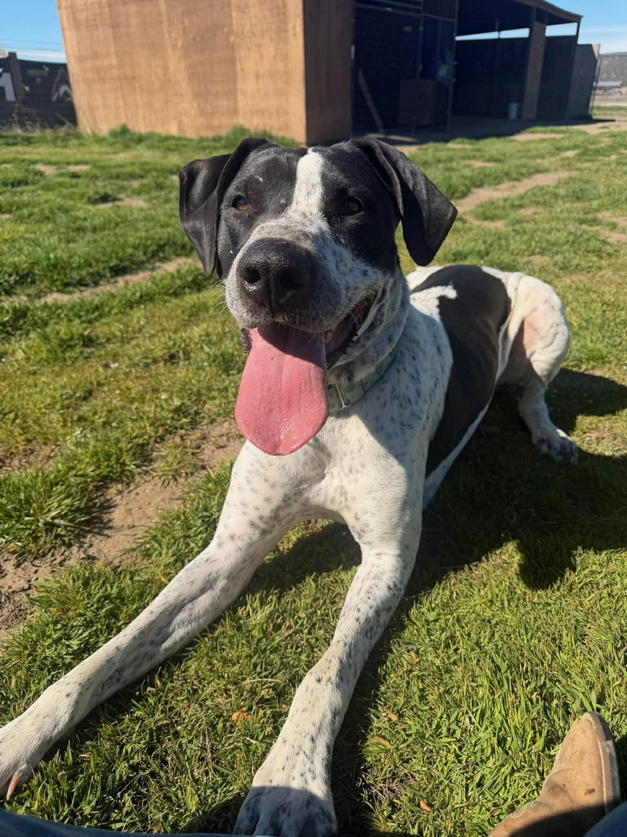 Molly