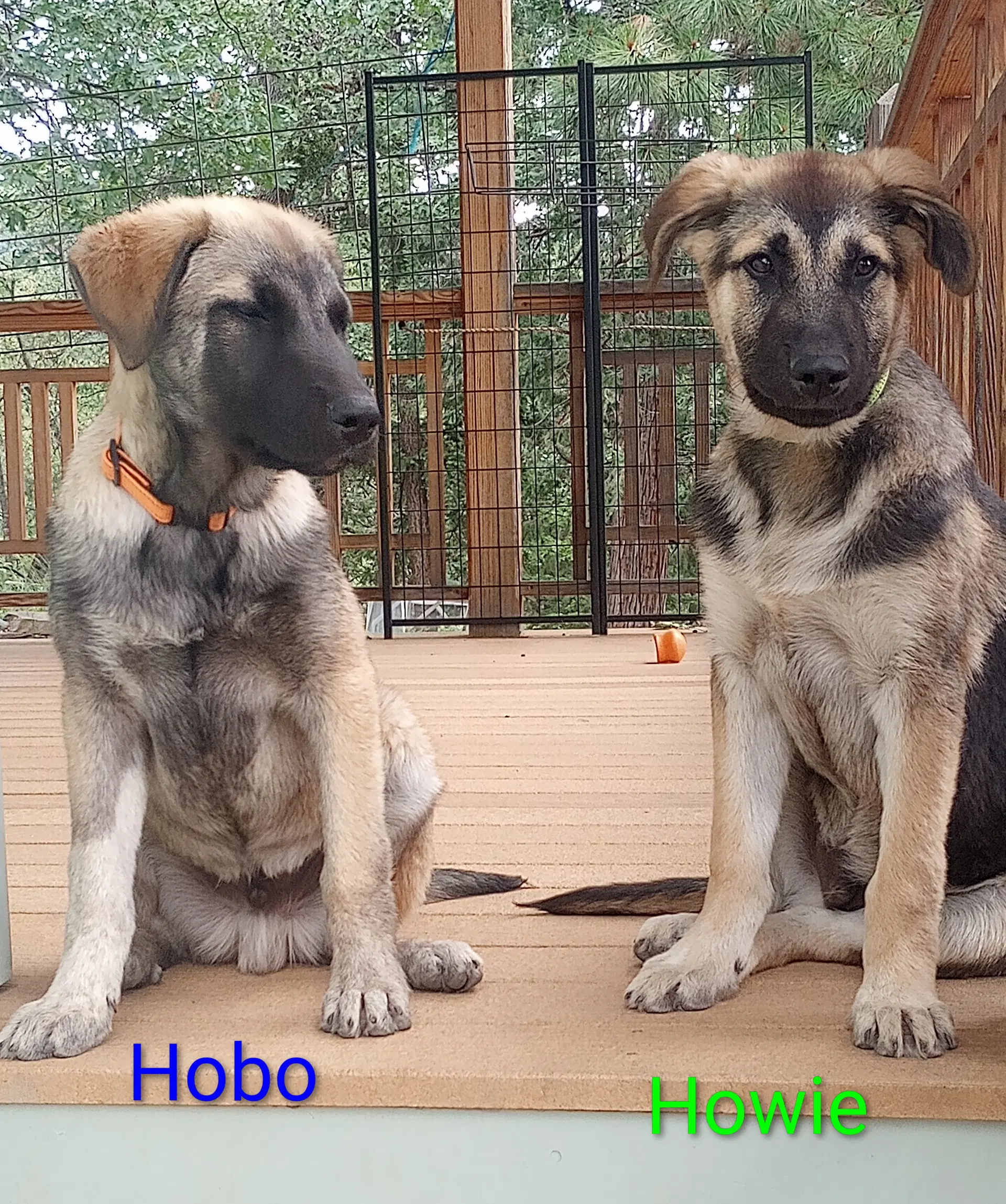 Hobo image 2