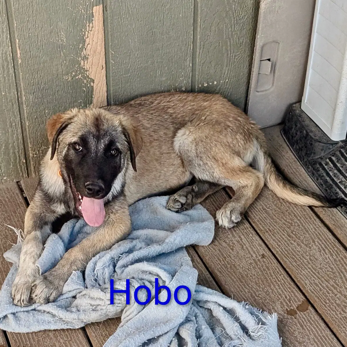Hobo image 3