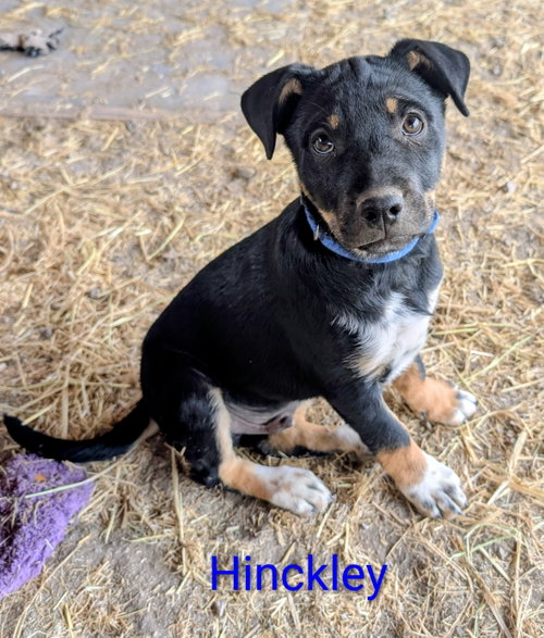 Hinckley