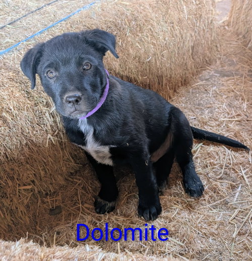 Dolomite