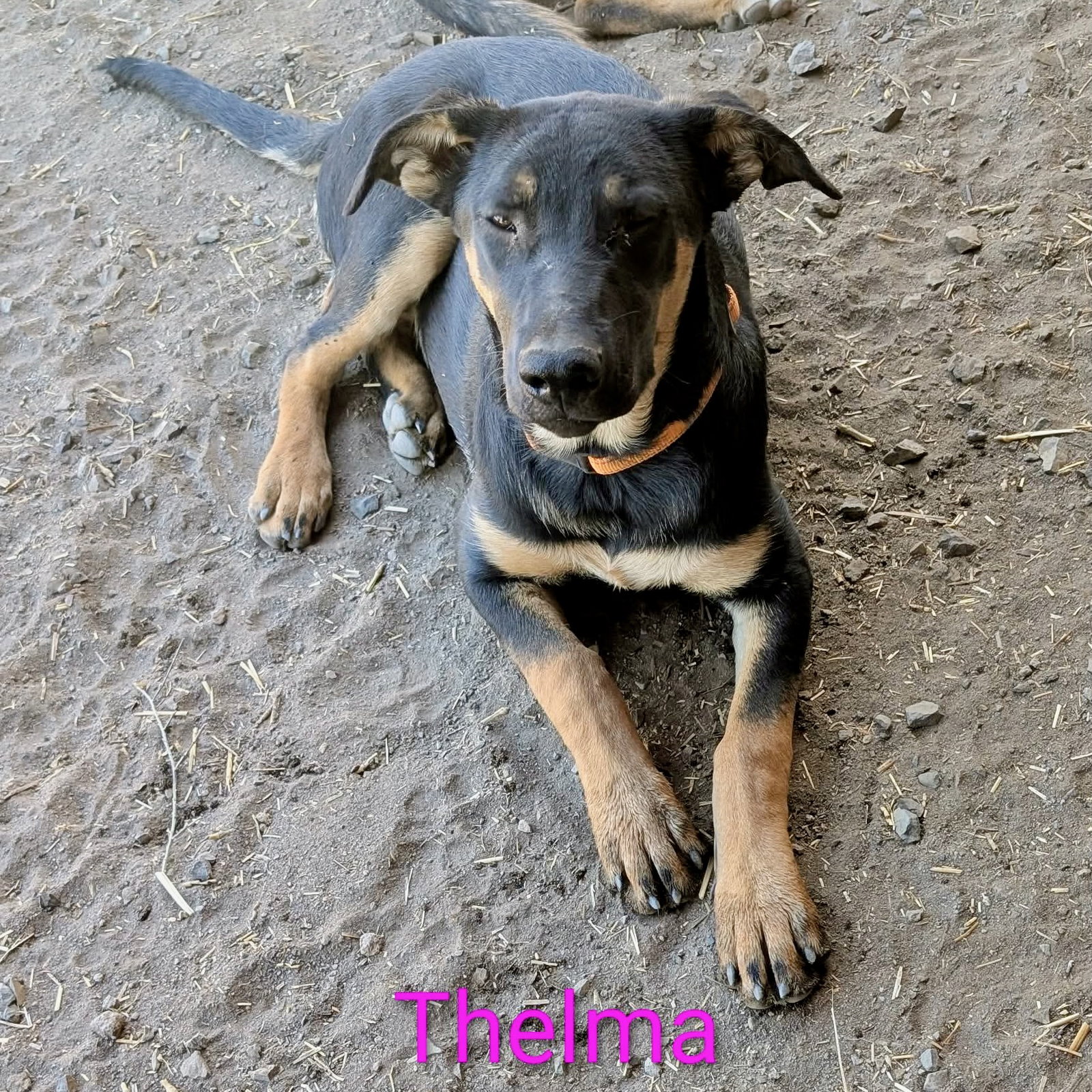 Thelma