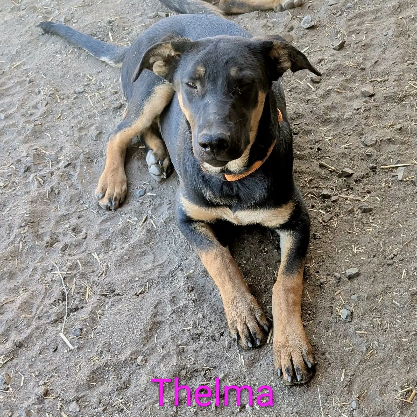 Thelma image 1