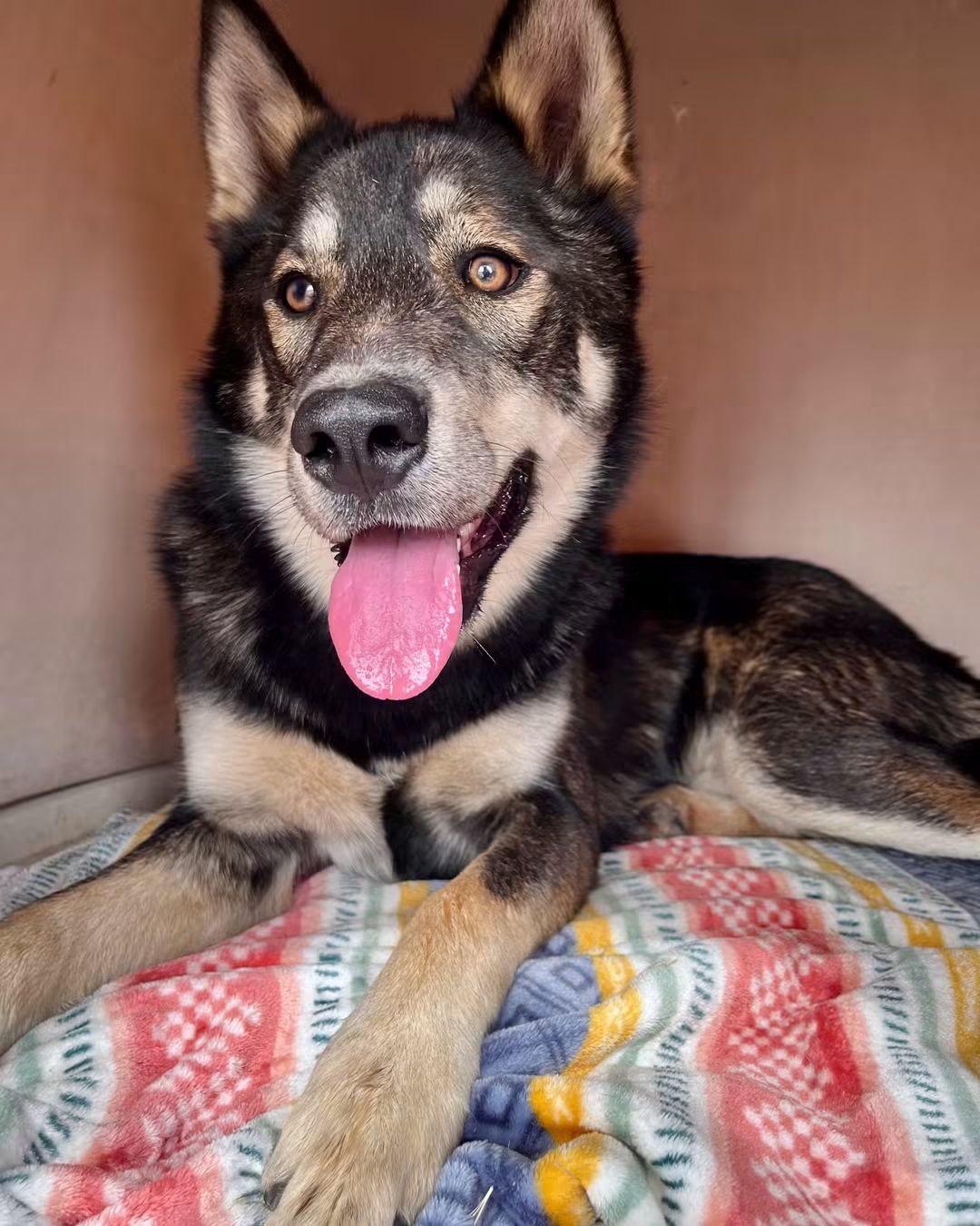 Sitka