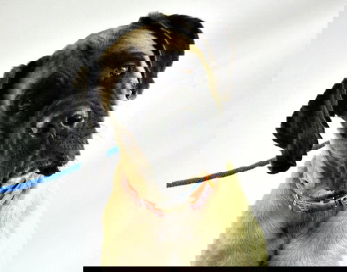 Paul