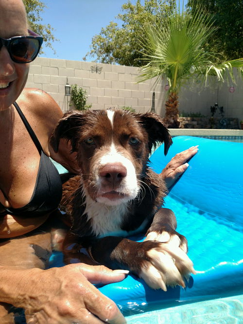 Mia- ADOPTION PENDING