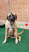 Leroy