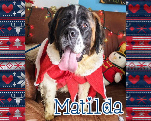 MATILDA adopted