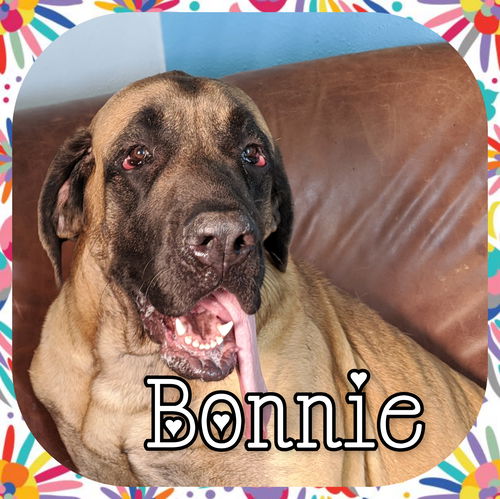 Bonnie