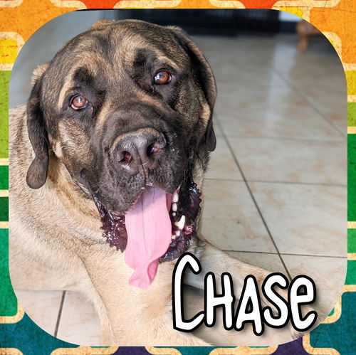 Chase