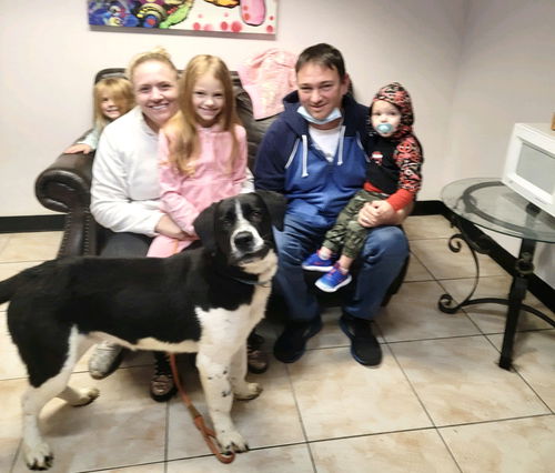 Breck ADOPTION