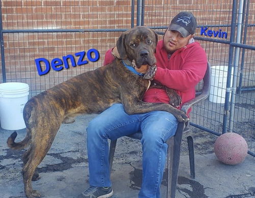 DENZO ADOPTED