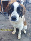 GRETCHEN