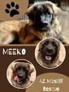 Meeko