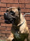 Kyro