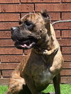 Kyro