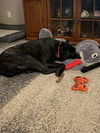 Mia adopted