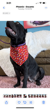 Keisha   ADOPTED