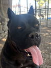 Lucy