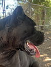 Lucy