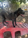 Lucy