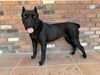 Lucy