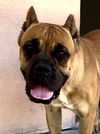 Lucy Lou
